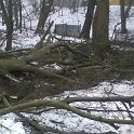 IMG_20180210_090619