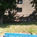 IMG_20180519_143132
