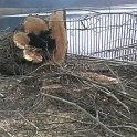 IMG_20181130_093740